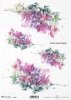 wrzos, kwiat, ogród, łąka, wiosna, autorka grafiki Maria Kopeć, R919, flower, garden, meadow, spring, Blume, Garten, Wiese, Frühling, flor, jardín, prado, primavera, heather, brezo, 